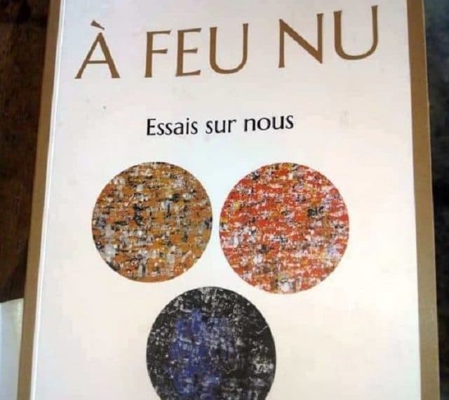 À feu nu de Théo Ananissoh: Entre politique togolaise et littérature écrire sur le Togo pour rester vivants