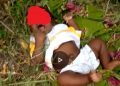 Togo : une enfant de 3 mois retrouvé dans la brousse à Tsikplonoucondji (Vidéo)