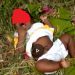 Togo : une enfant de 3 mois retrouvé dans la brousse à Tsikplonoucondji (Vidéo)