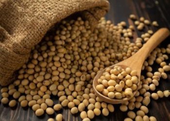 Togo : Fermeture de tous les magasins de Soja