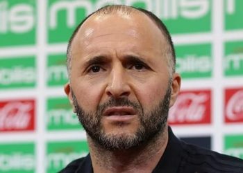Algérie : Envolée suprématiste de Djamel Belmadi