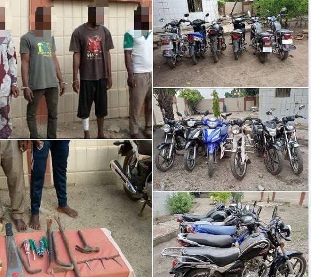 Togo : Un réseau de braqueurs opérant au Togo et au Bénin démantelé à Kara