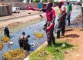Togo : le 4e lac devenu un dépotoir