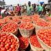 Togo : manifestation des femmes grossistes de tomates dans les rues