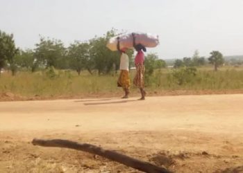 Région des savanes: En milieu rural, ces femmes qui jouent les rôles des pères