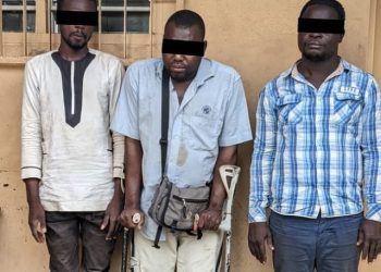 Togo : Trois trafiquants d’ivoire arrêtés à Lomé