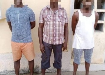 Togo : des escrocs aux faux contrats de fourniture d’épices et de miel interpellés par la police