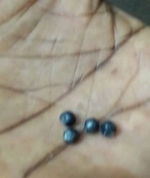 Litige foncier à Tchekpo : des individus ont tiré dans la maison du coordinateur cantonal du MMLK faisant un blessé grave