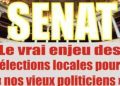 La question  de l’utilité du Sénat au Togo
