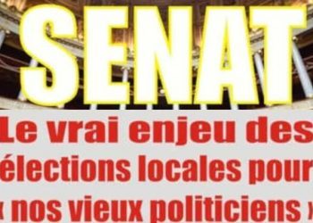 La question de l’utilité du Sénat au Togo