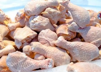 Élevage : le Togo suspend temporairement les importations de viandes de volailles surgelées