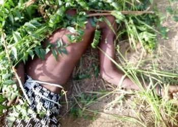 Togo/Tragédie à Sélédjimé : Trois jeunes garçons périssent dans des Étangs