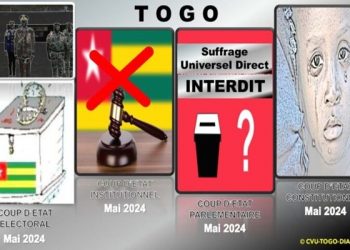 Double coup d’état institutionnel au Togo: Indispensable plateforme commune comme réponse à la forfaiture