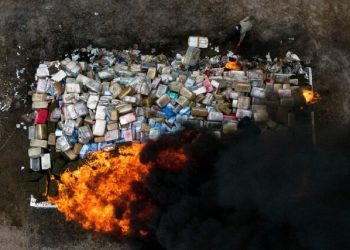 Togo : Incinération de drogue et produits illicites saisis par les FDS