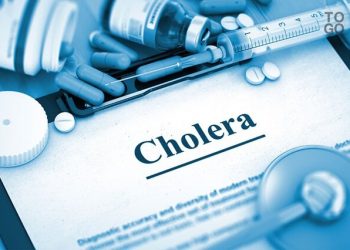 Togo/Recrudescence du choléra : 8 cas dont 2 décès à Agoè-Nyivé