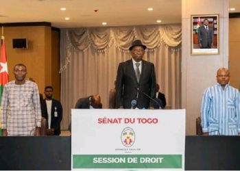 Koudjolou Dogo et quelques autres niaiseurs nommés par Faure Gnassingbé dans son sénat | Photo: DR / L’Alternative