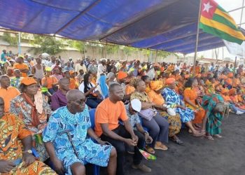 Togo/Forte mobilisation des OSC et partis politiques contre la 5ᵉ République :  Même les « gueulards bleus » des réseaux sociaux se sont effacés