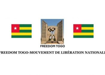 Elections municipales : Freedom Togo-MLN  exige un changement de régime et une réfondation des institutions
