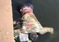 Togo : découverte macabre à Bè, un corps repêché dans la lagune