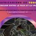 Le Vrai « Faux » Panafricanisme de Faure Gnassingbé: Justice, Droits humains et Autodétermination Commencent à la Maison