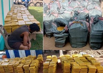 Kloto : Plus d’une tonne de cannabis interceptée par la Gendarmerie nationale