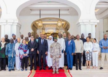 Togo/Sommet du 8 décembre : Freedom Togo-MLN dénonce « une mascarade panafricaniste financée par la dictature »