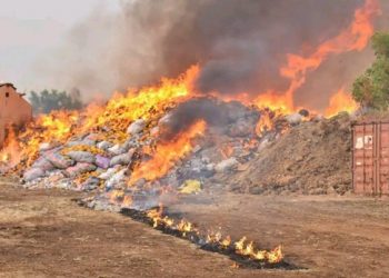 Togo/Tolérance zéro : plus de 51 kg de cocaïne et 5,2 tonnes de cannabis détruits