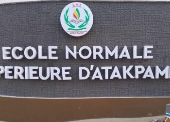 Les politiques de fausse-professionnalisation des formations universitaires et les gesticulations incongrues au Togo