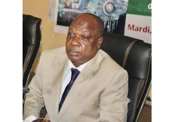 De la question de la professionnalisation des formations universitaires 