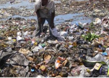 Au pays de Dussey où tout va très bien, on continue de manger au dépotoir