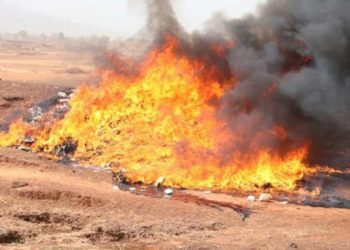 Togo : plus de 9 000 litres de sodabi frelaté détruits dans la région des Savanes