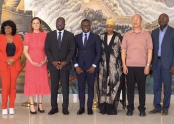 Investir au Togo : la PIA convainc le Commonwealth