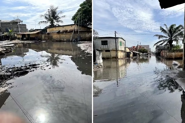 © DR / Lalternative.info